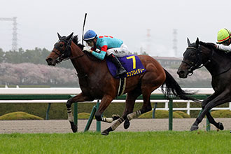 2025年 桜花賞 JRA