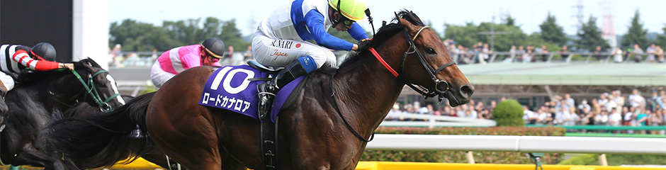 ロードカナロア｜3分でわかった気になる名馬 JRA