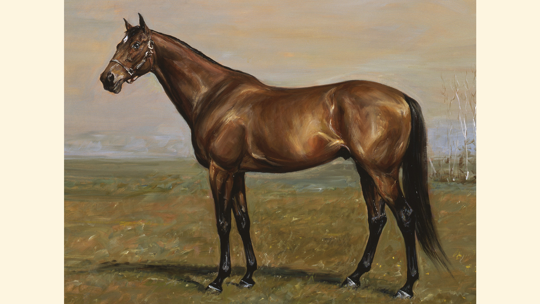 シンザン：競馬の殿堂 JRA