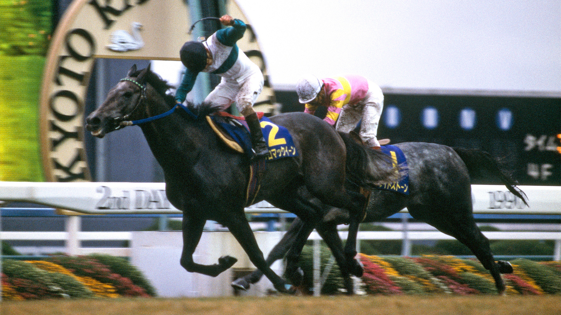 メジロマックイーン：競馬の殿堂 JRA