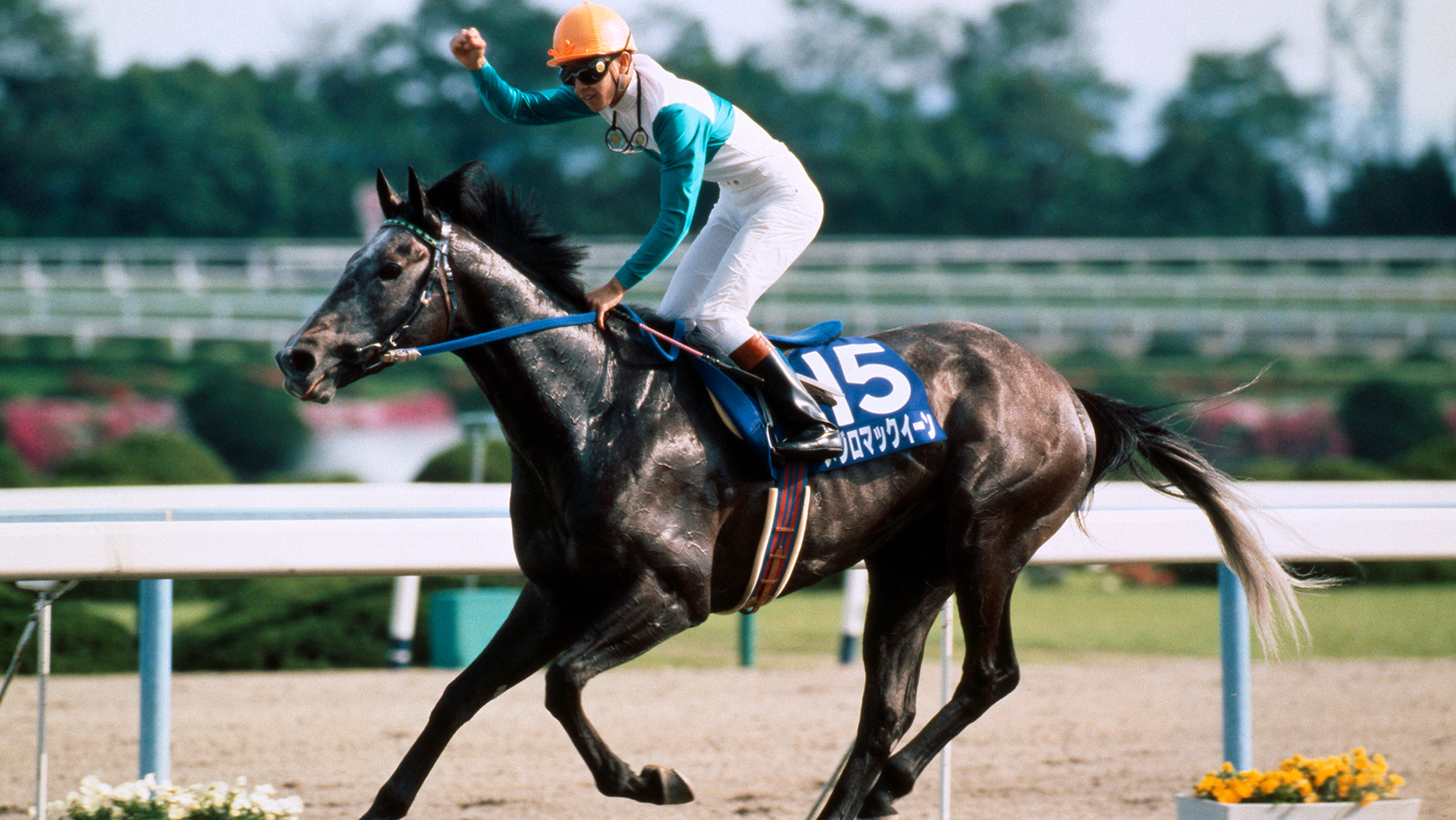 メジロマックイーン：競馬の殿堂 JRA