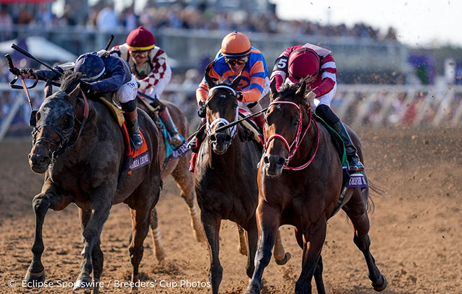 JRA賞 2025年度 JRA