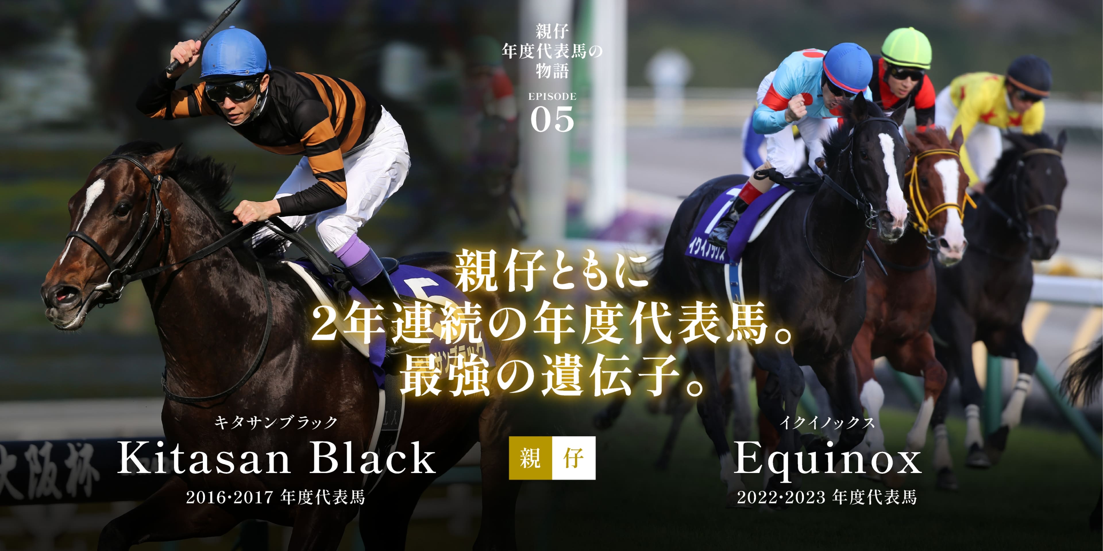 キタサンブラック＆イクイノックス|親仔年度代表馬の物語|サラブレッド