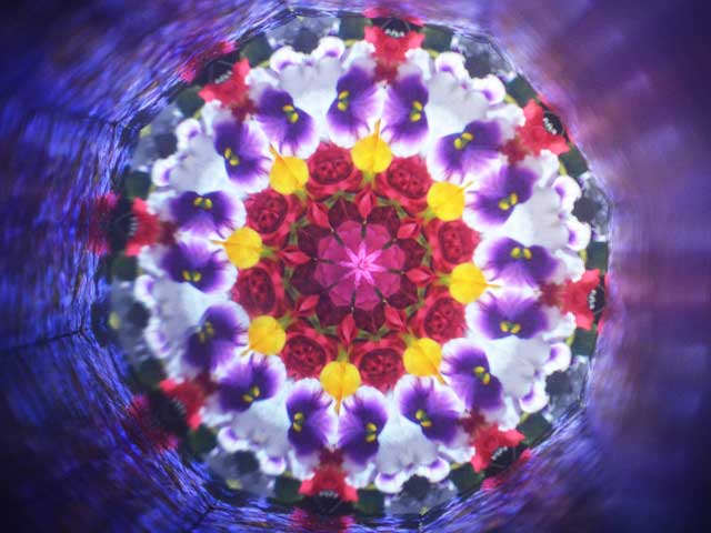 有田焼万華鏡】吉野桜