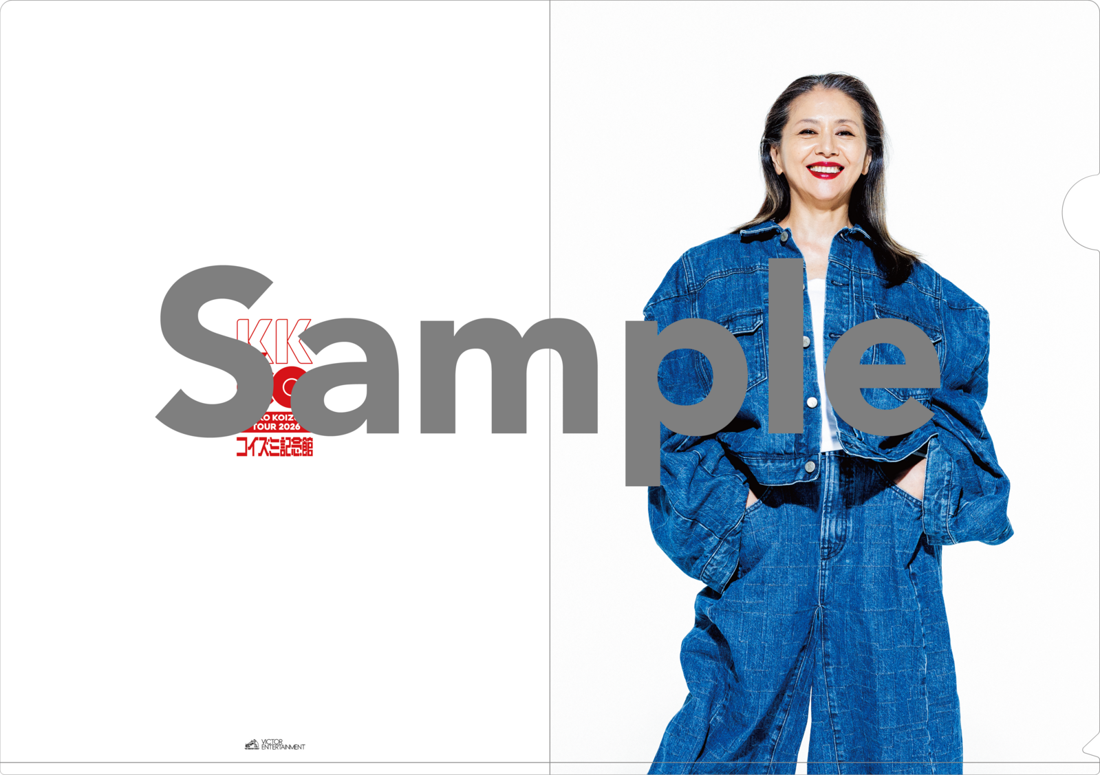 小泉 今日子 | VICTOR ONLINE STORE限定旧譜セールのご案内 | ビクター