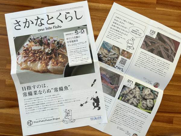 定期便 レギュラー（6パック）コース – obf－おさかなサブスク