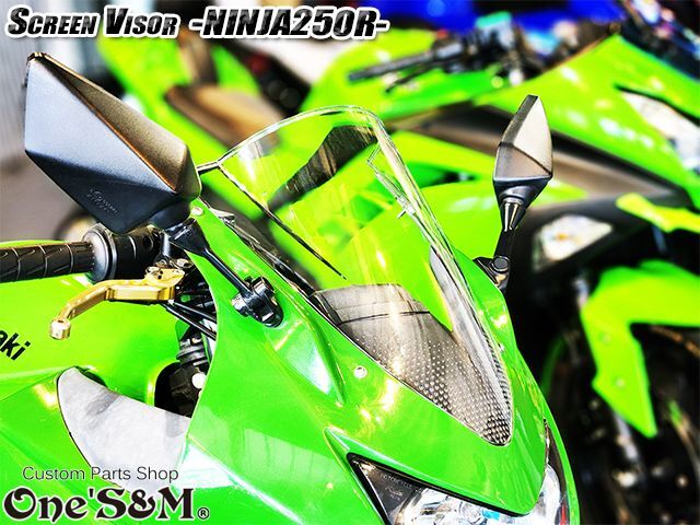 スクリーンバイザー フロントスクリーン NINJA250R JBK-EX250K