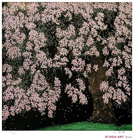 中村豪志、【金剛桜】、希少画集画、風景、自然、さくら 中村豪志