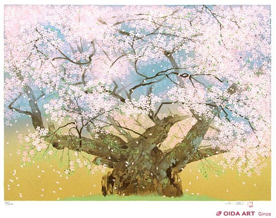 中島千波 淡墨桜 | 絵画など美術品の販売と買取 | 東京・銀座 おいだ美術