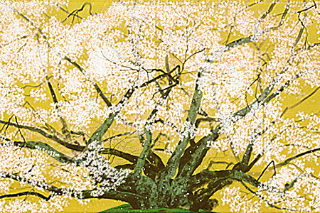 中島千波 素桜神社の神代桜(2004年) | 絵画など美術品の販売と買取