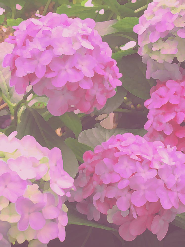 長谷川潔 メキシコの鳩 静物画 | 絵画など美術品の販売と買取 | 東京