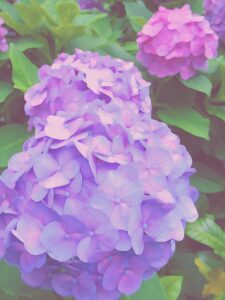 荻須高徳 パンとケーキの店 木製フレーム付き 荻須高徳 パンとケーキの