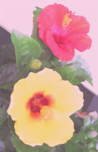 田村能里子 夢想う | 絵画など美術品の販売と買取 | 東京・銀座 おいだ美術