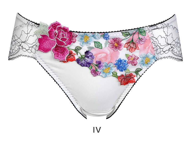 PTJ360｜ワコール サルート 60G サニタリーショーツ M/L 下着