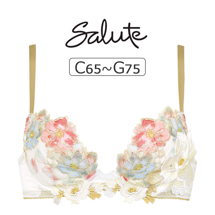 BTJ403｜ワコール サルート 03G ブラジャー単品 P-upタイプ BCDEFGHI