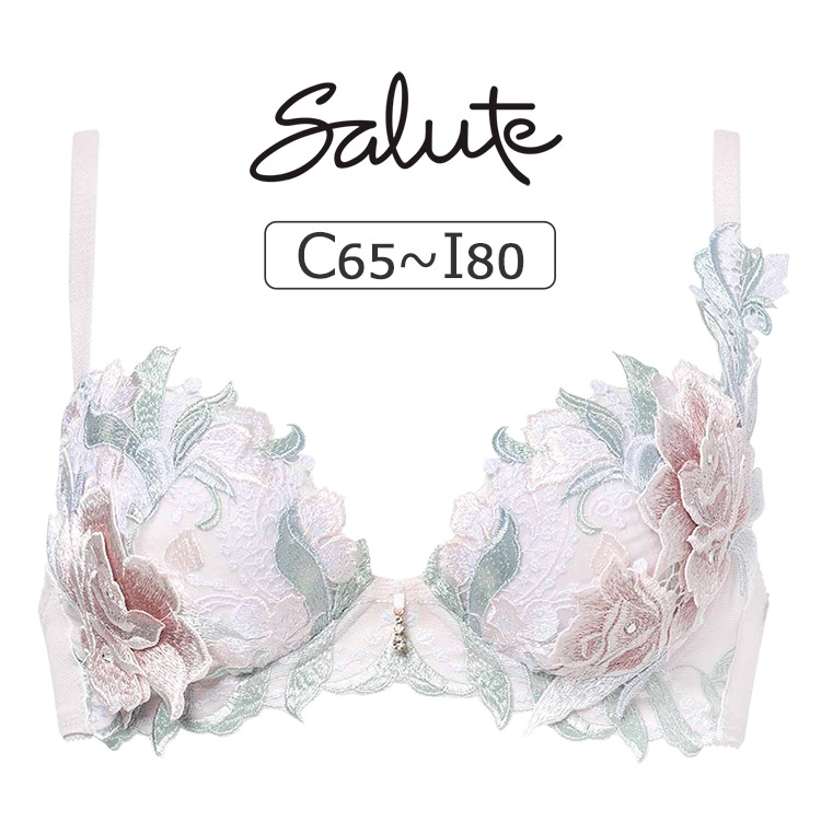 ブラジャーショーツセット サルート62G ブラE70ショーツM ブラジャー