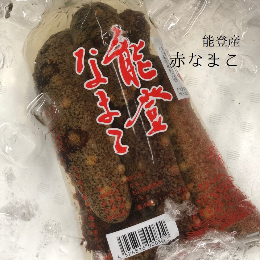 赤ナマコ – 豊洲おかわり鮮魚店