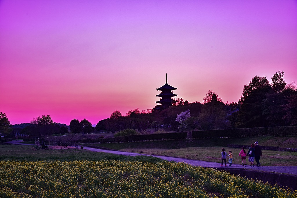 春は吉備路を歩こう！備中国分寺周辺の絵になる花風景7選｜おか旅