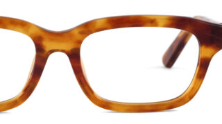 べっ甲メガネ A30KK TA6530 上トロバラ甲｜メガネ店トリプル銀座