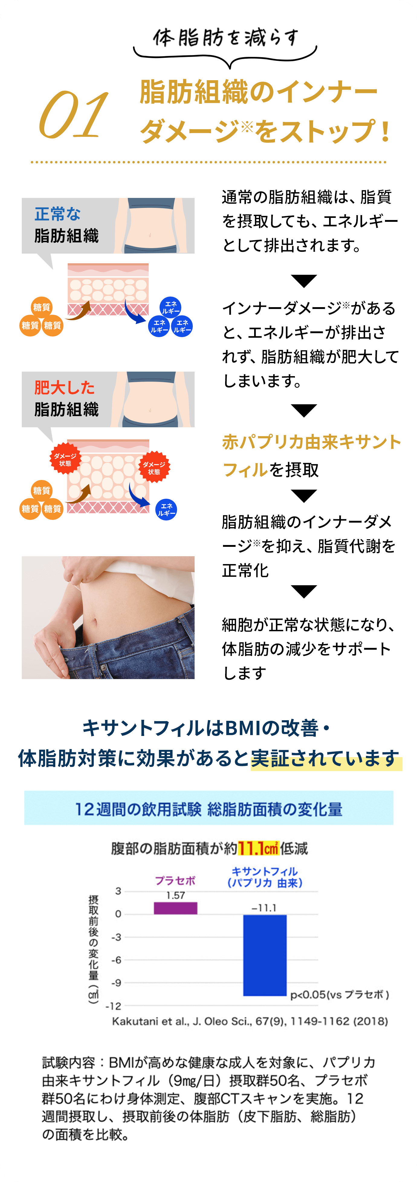 公式】WHIET+（ホワイエットプラス）｜体脂肪と紫外線のW対策サプリメント