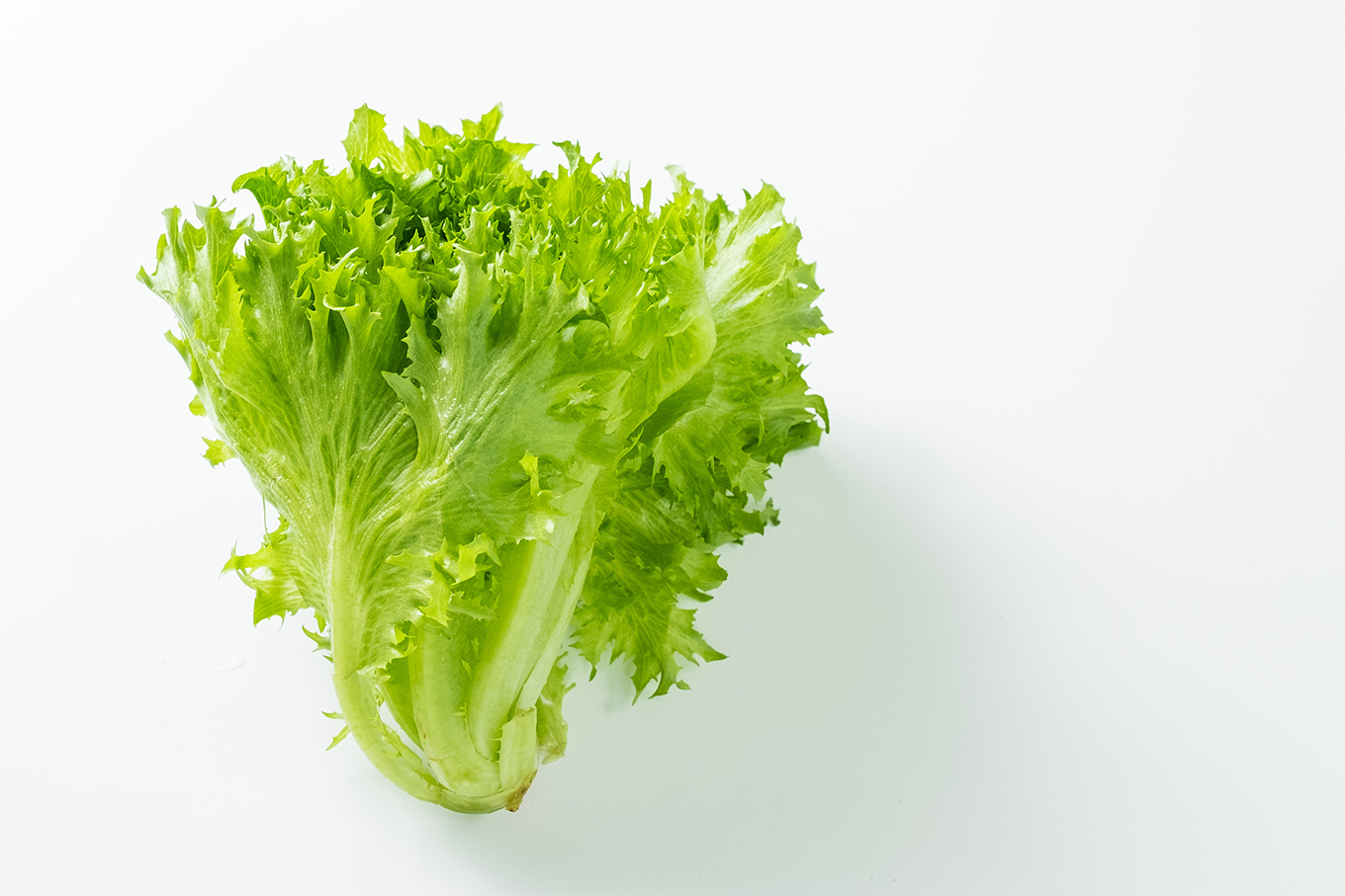 植物工場野菜」の認知拡大と、浸透・普及のための調査 | 株式会社