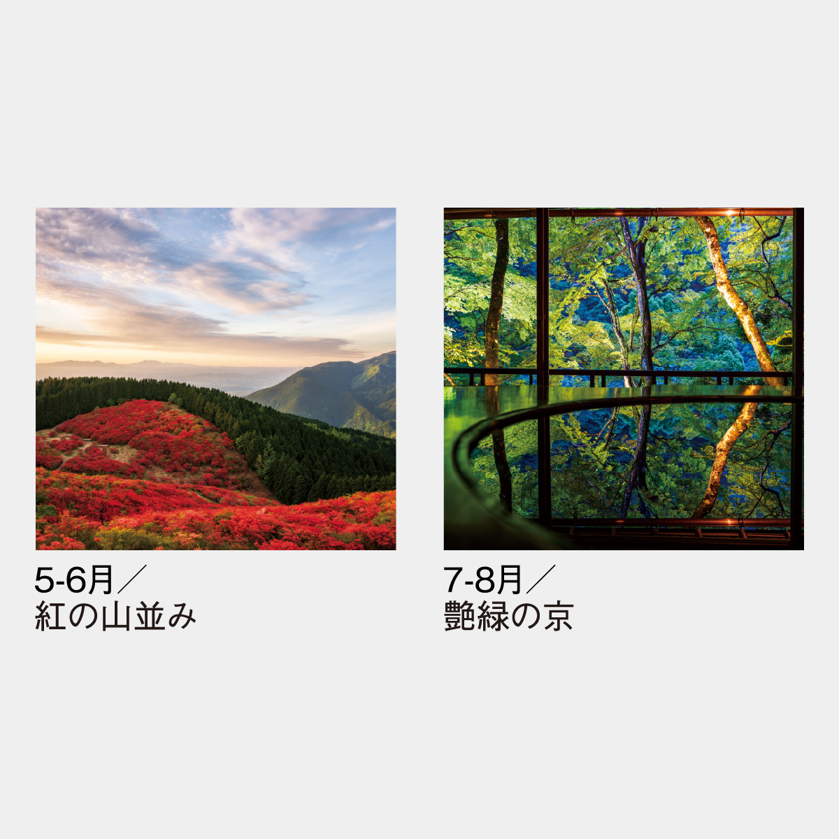 SG-519 【フィルム】風光る 別所隆弘作品集2026年版の名入れカレンダー