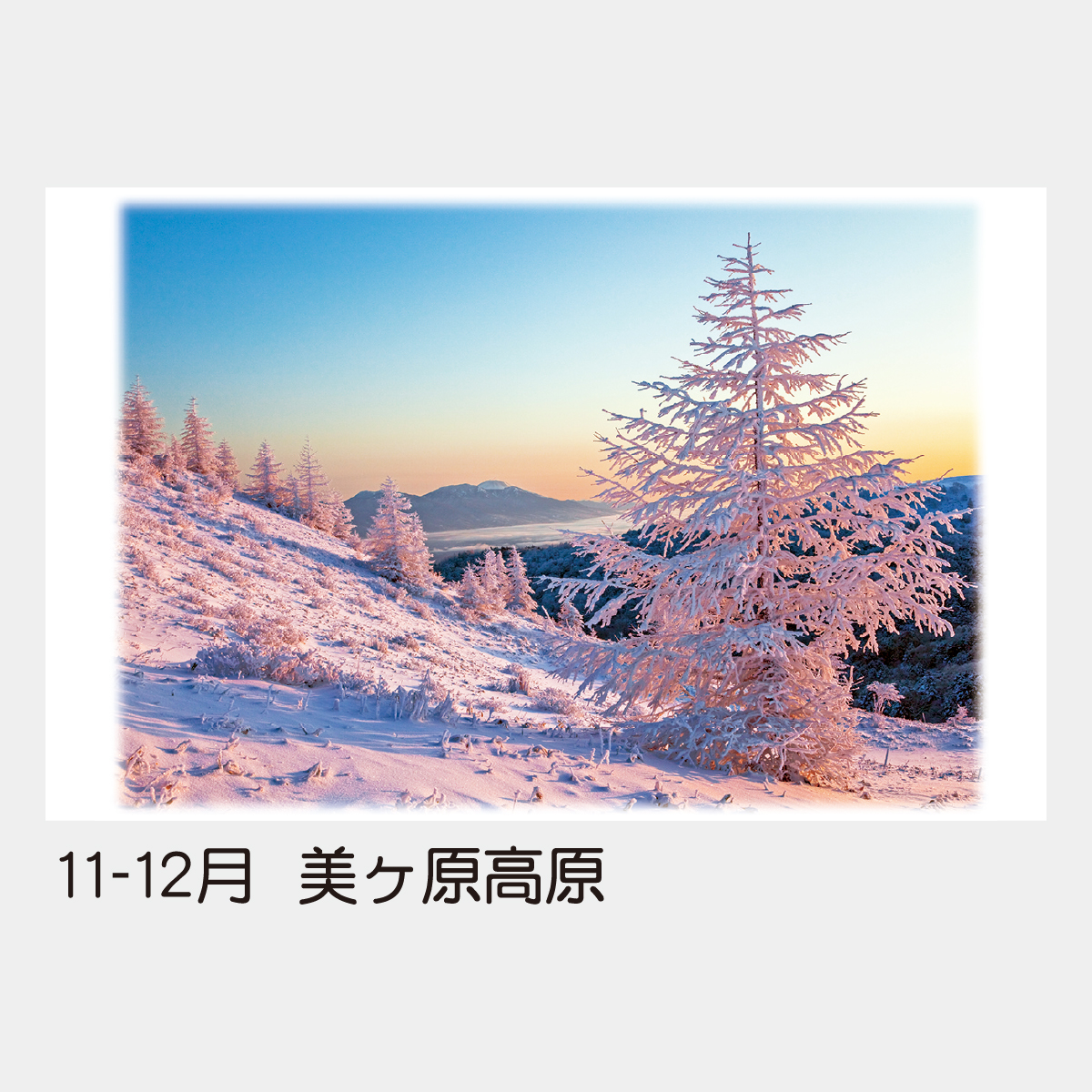 TD-702 四季の香り(2ヶ月ミシン目入)2026年版の名入れカレンダーを格安