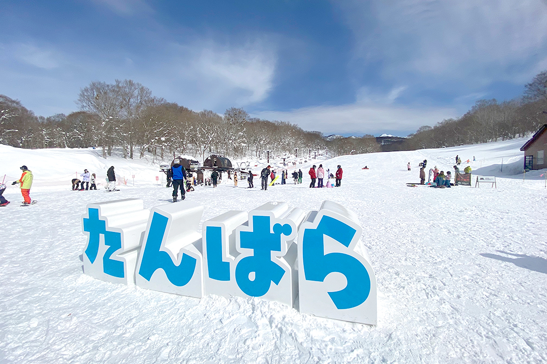 たんばらスキーパークの魅力をガチ検証！快適バスツアーが楽しすぎた