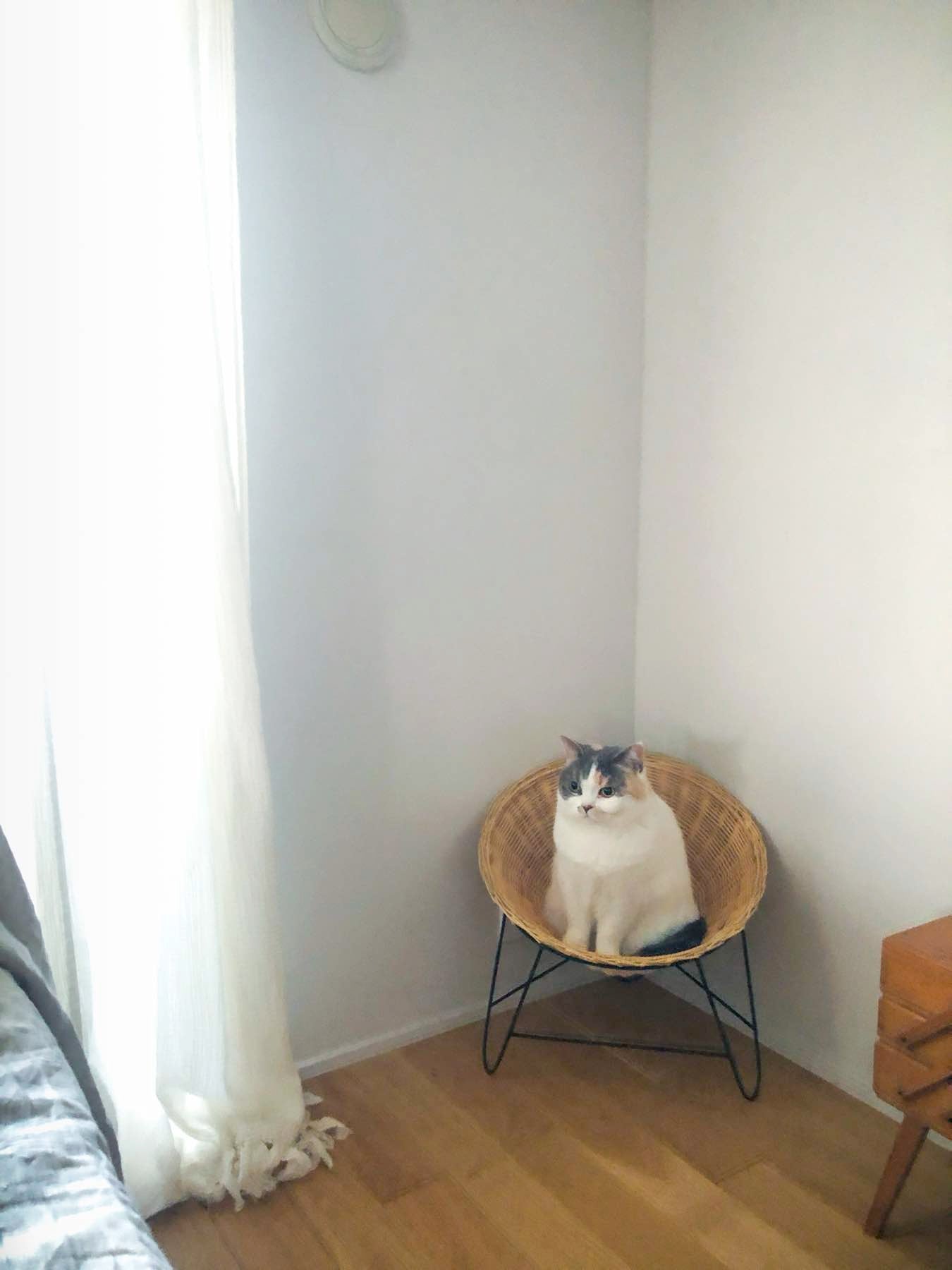 オルネコ・アイアンレッグラタンチェア｜オルネコ（ベッド・ハウス