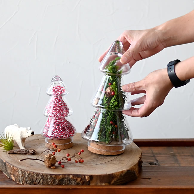 NOLLA ガラスツリー | ゼネラルストア オルネ