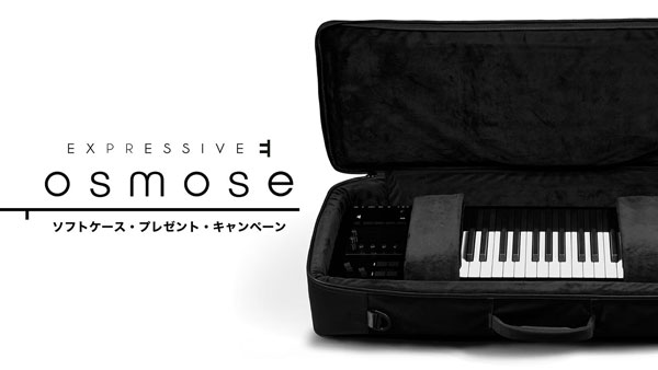 即納可能！値上げ前在庫特価品！6万円OFF！】Expressive E - Osmose49