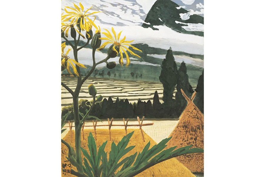 奄美の濃密な自然を描いた画家、田中一村の回顧展が京都で | Lmaga.jp