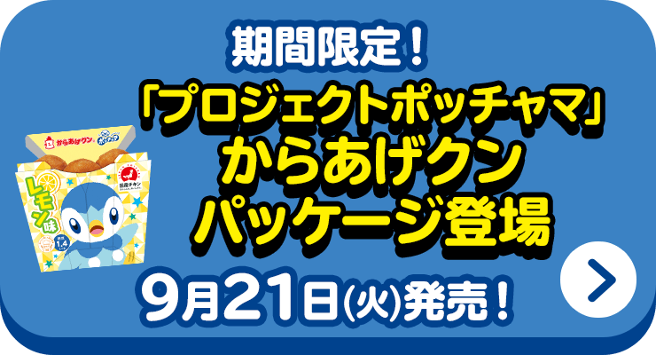 先着・数量限定でもらえる！限定ポケモンカード(ポッチャマ