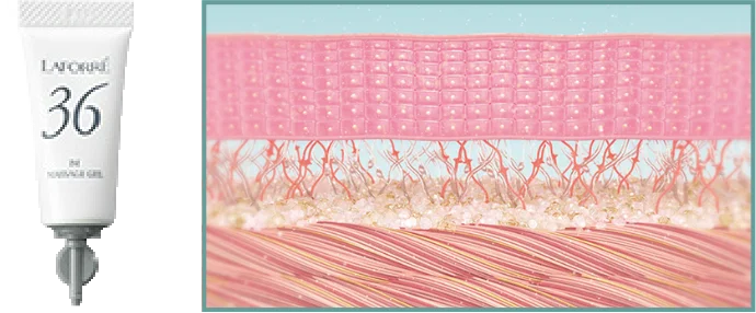 ラフォーレ インナーマッスル トリートメント｜laforre