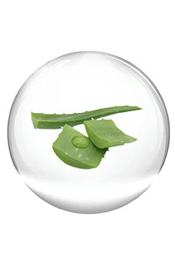 Priming with a Hydrating Fluid - Valmont