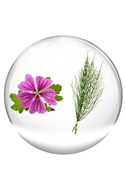 コラジェン マスク トリートメント | エイジングケア用コラーゲンマスク