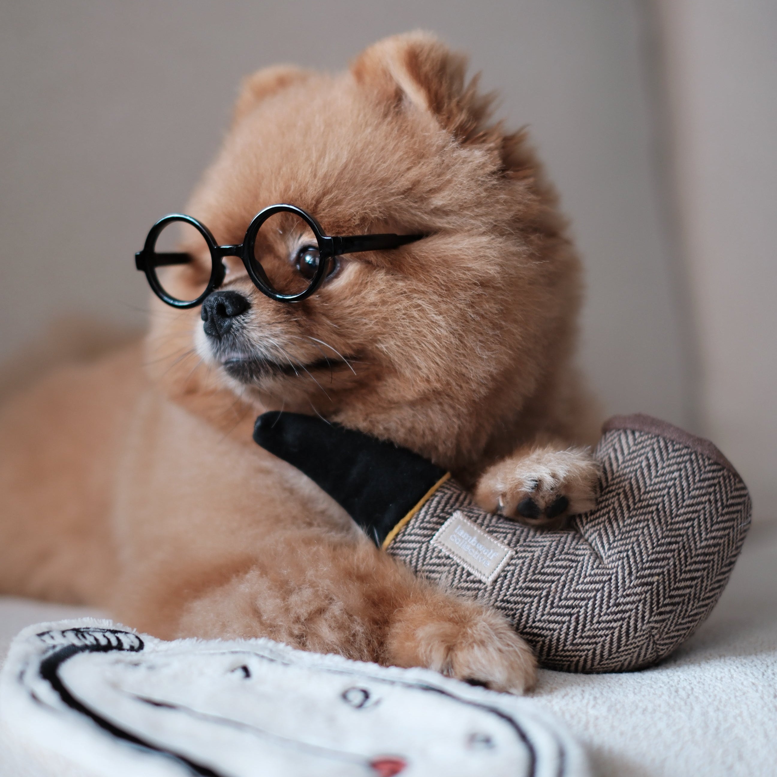 Surrealist Snuffles- Enrichment and Interactive Dog Toy | Puzzle