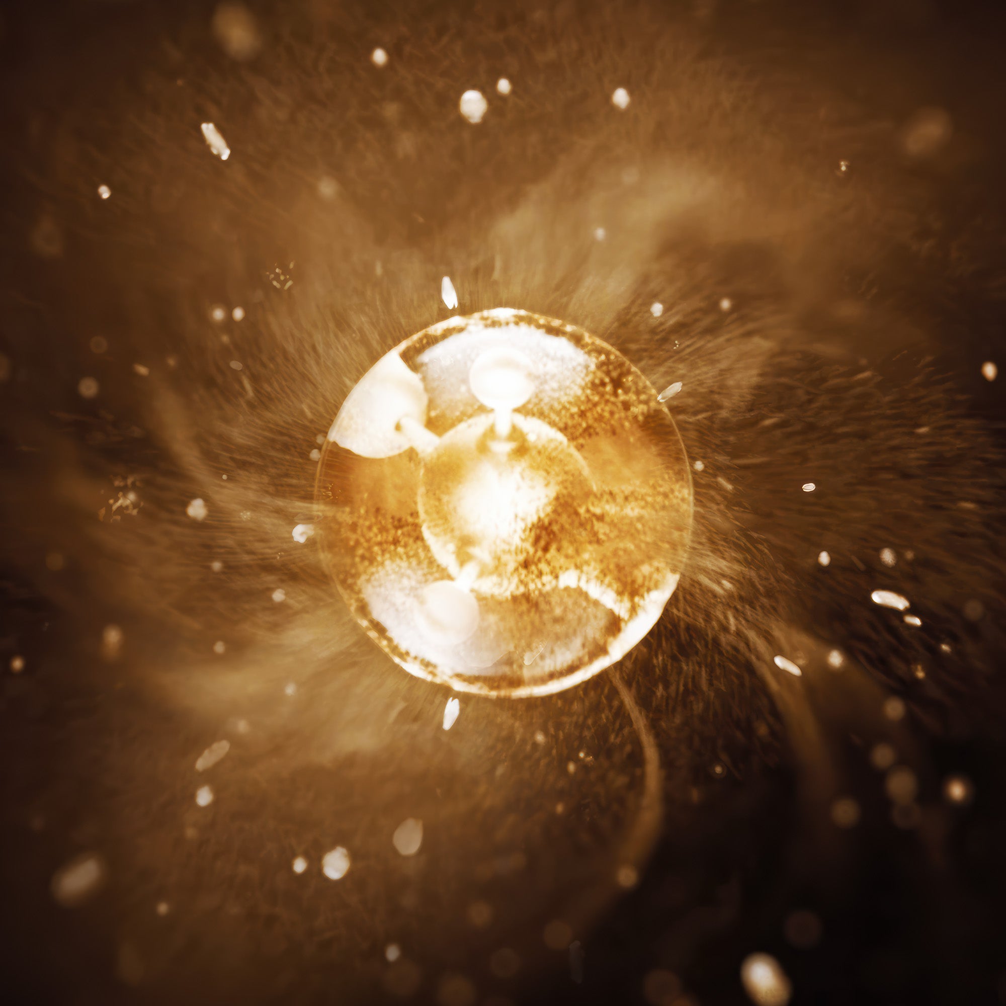 Pure Gold Radiance Nocturnal Balm 60ml – Densifying and nourishing