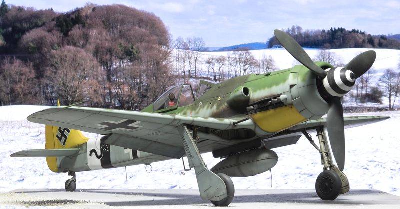 Hasegawa 1/32 Fw 190D-9 | Large Scale Planes