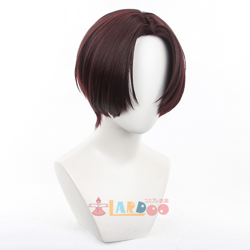 WIND BREAKER ウィンドブレイカー 蘇枋 隼飛 コスプレウィッグ ネット