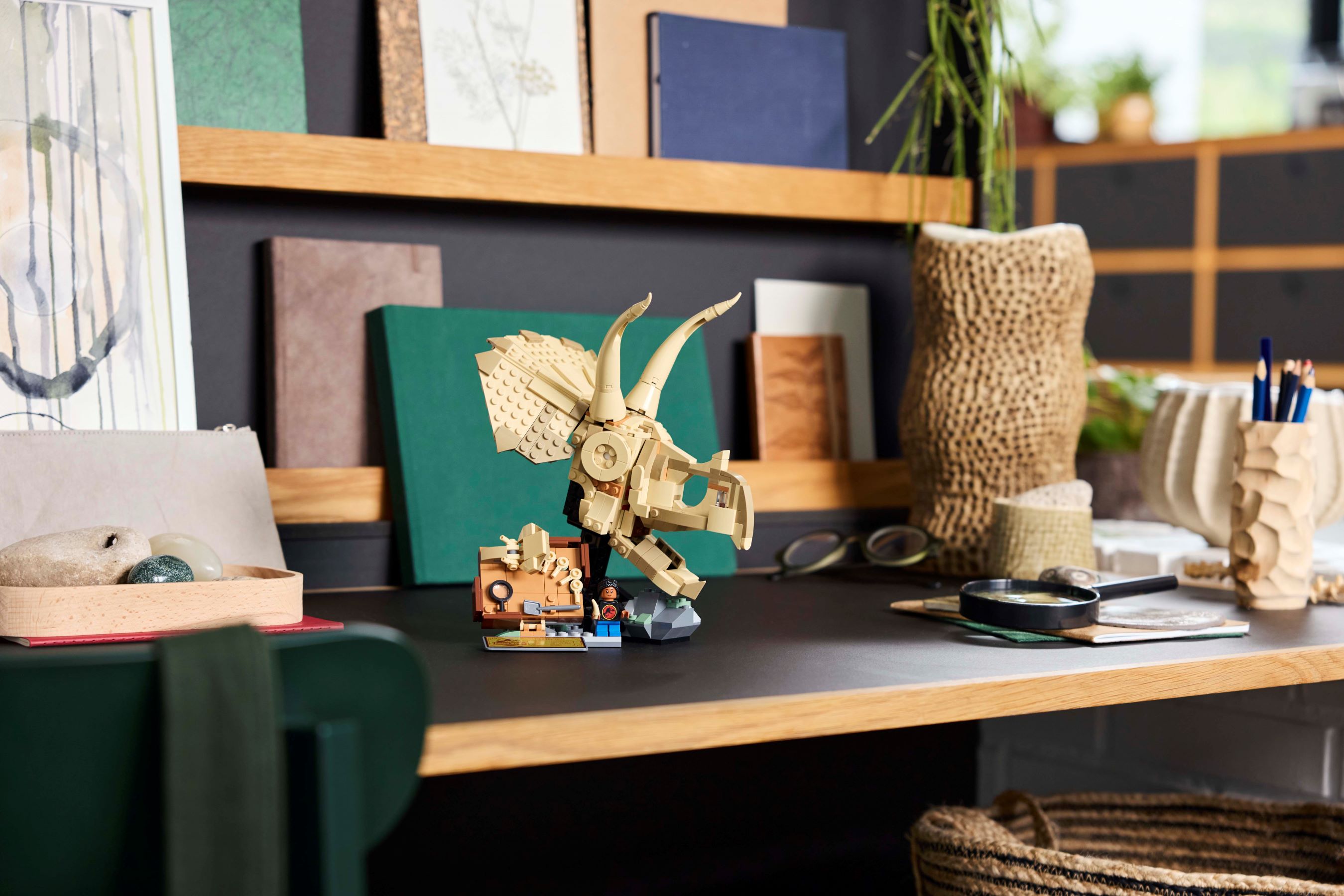 恐竜の化石：トリケラトプスの頭蓋骨 76969 | ジュラシック・ワールド