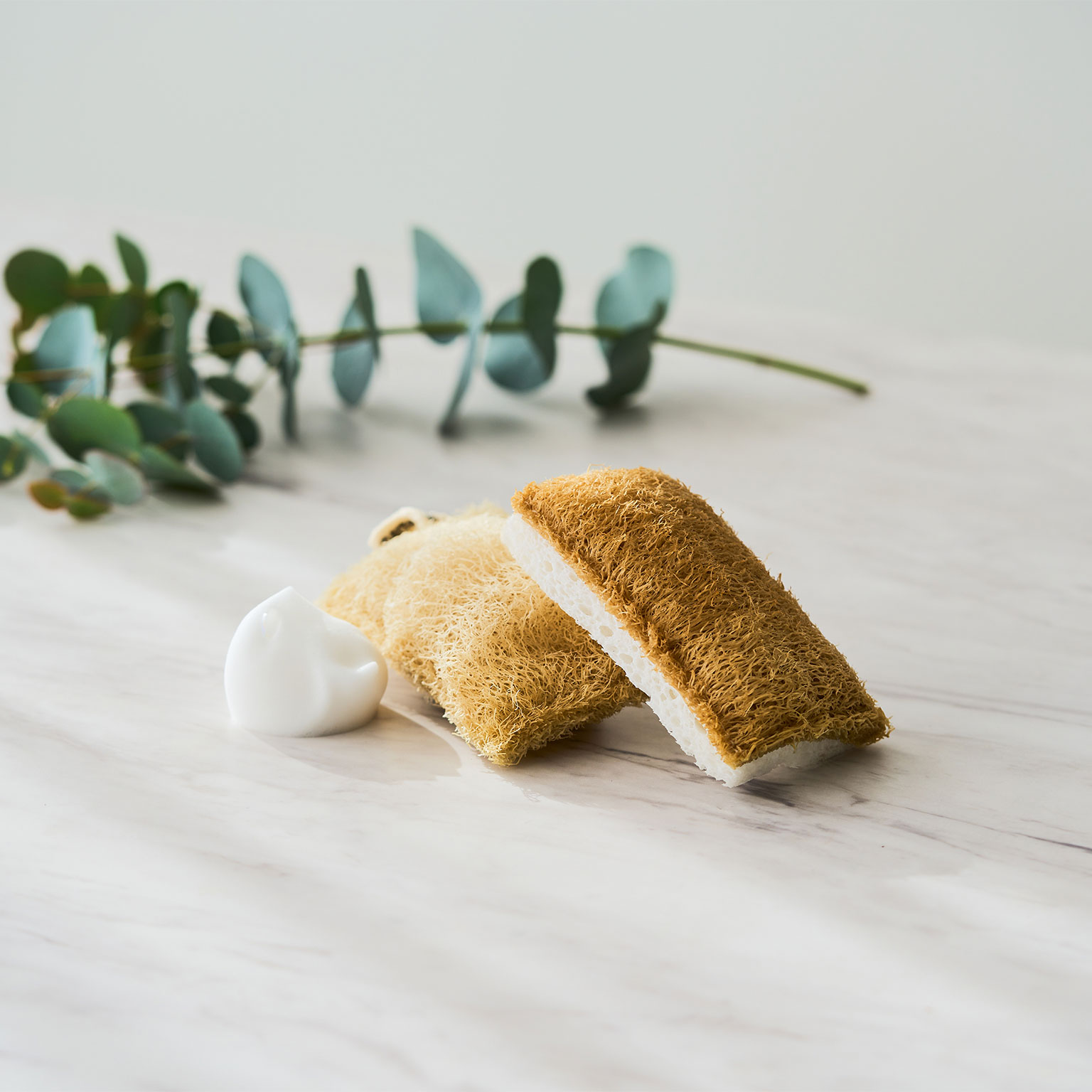 MR.ECO（ミスターエコ）ヘチマ&セルローススポンジ | LIVING MOTIF