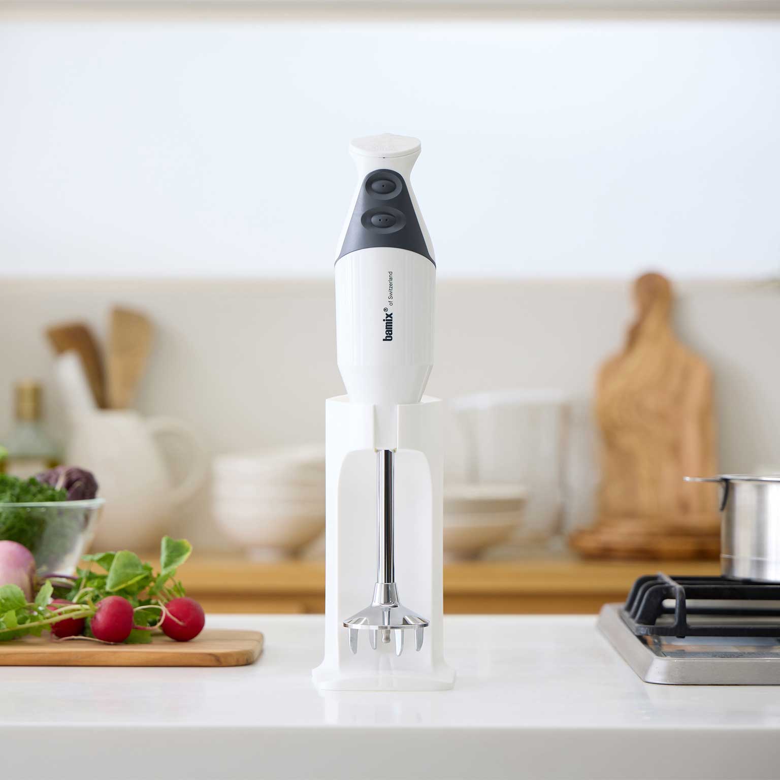 bamix（バーミックス）バーミックスM300 スマート02 スノー | LIVING