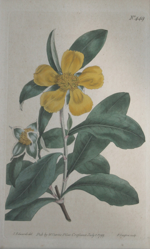 ボタニカルアート展