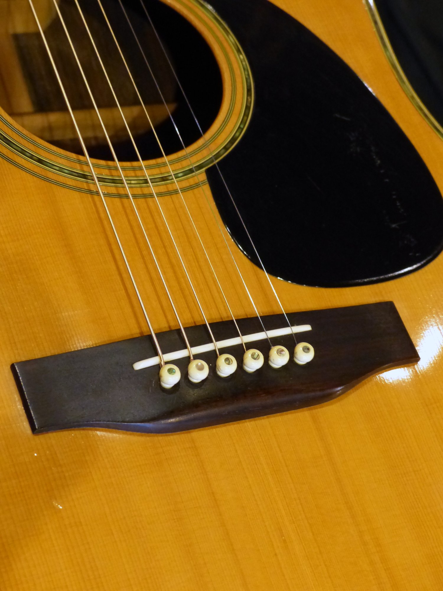 Rider '77 R-500D – 京町家のギターショップ ライトニン