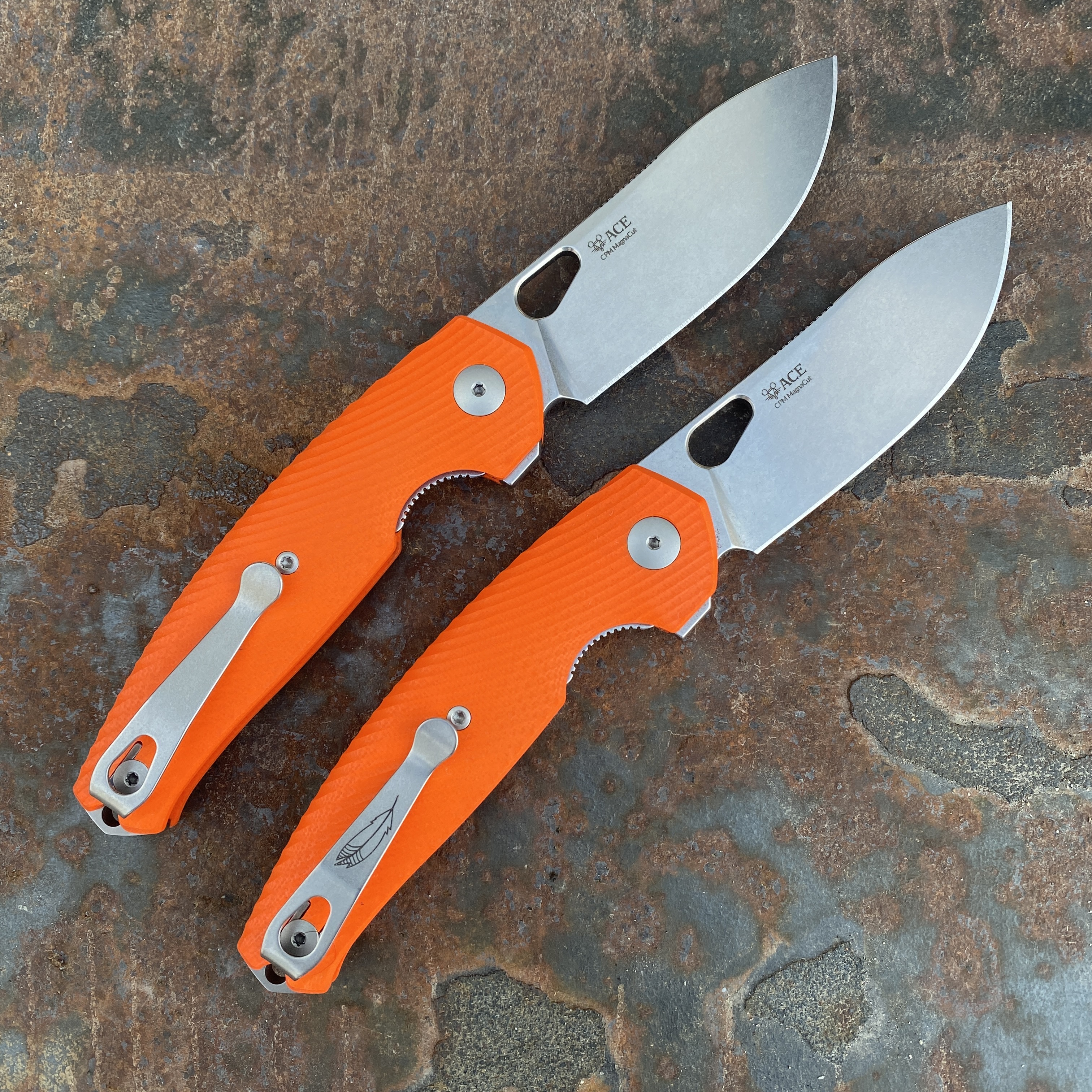 オレンジカード 信州の蝶 11枚 ACE Jutland - Orange G10 – GMK