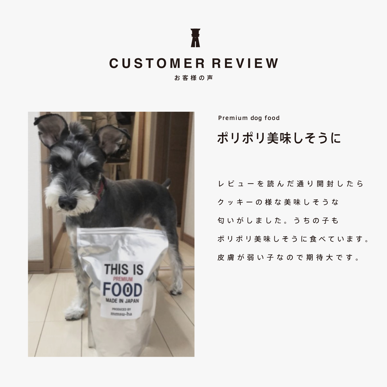 Peek a Boo Santa ピーカーブーシュナウザー Peek a Boo Santa