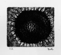 中本達也 - 東京国立近代美術館