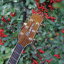 MD-251 | 生産完了品 | MORRIS GUITARS モーリスギター