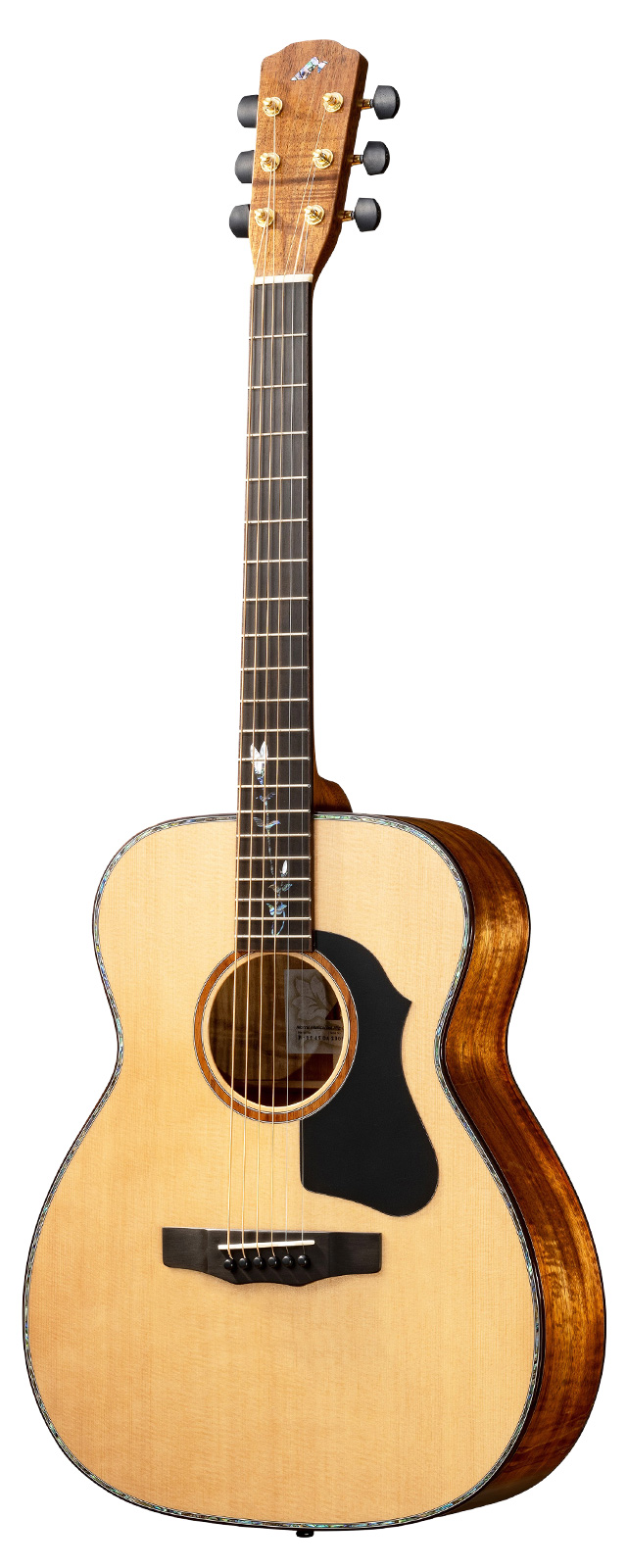 F-104KOA | HAND MADE PREMIUM | MORRIS GUITARS モーリスギター